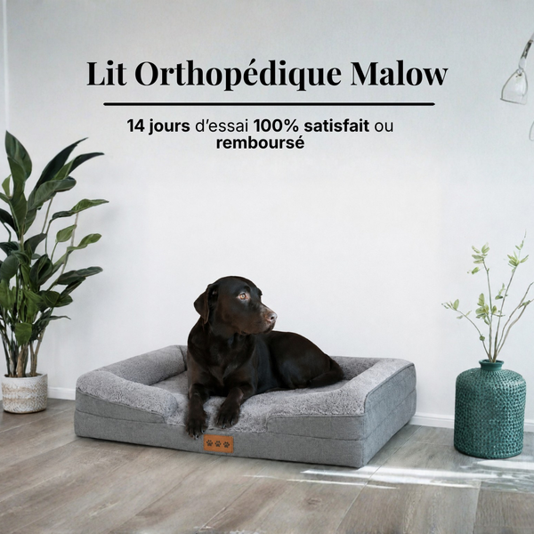 Lit Orthopédique Malow