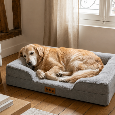 <p> Il se couche</p>