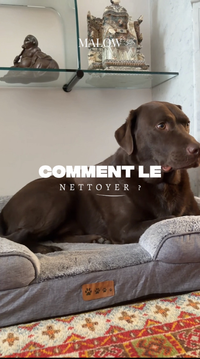 Comment le nettoyer ?