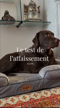 Le test de l’affaissement